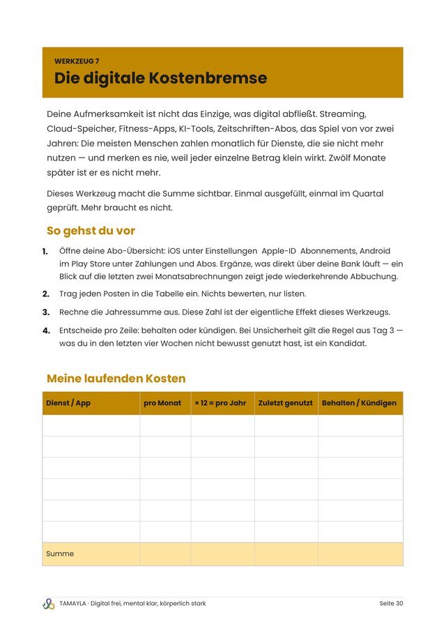 Buchseite Werkzeug 7: Digitale Kostenbremse